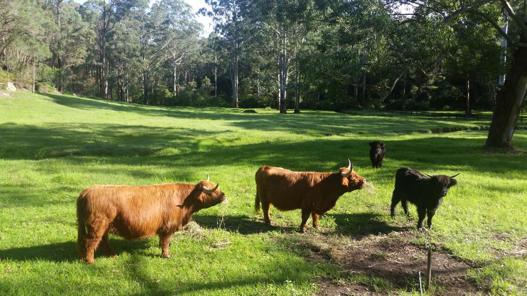 Annangrove NSW Accommodation QLD