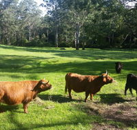 Dingley Dell - Accommodation QLD