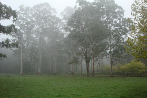 Dingley Dell - Accommodation QLD 2