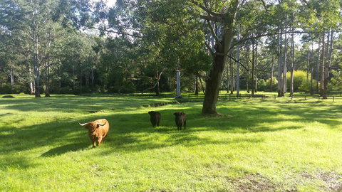 Dingley Dell - Accommodation QLD 3