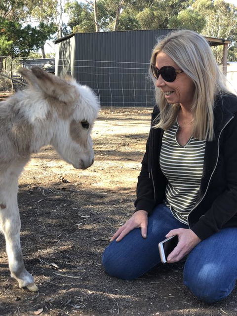 Donkey Tales Farm Cottages - Accommodation QLD 1