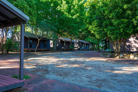 Dorrigo Mountain Holiday Park - Accommodation QLD 1