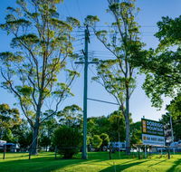 Dorrigo Mountain Holiday Park - Accommodation QLD