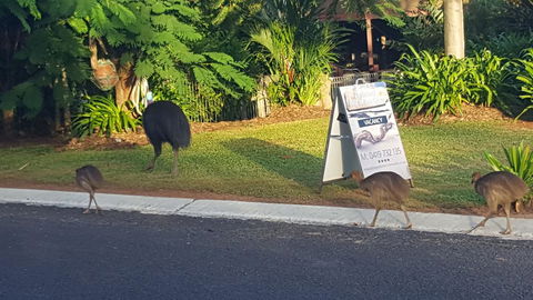 Driftwood Bed And Breakfast - Accommodation QLD 1