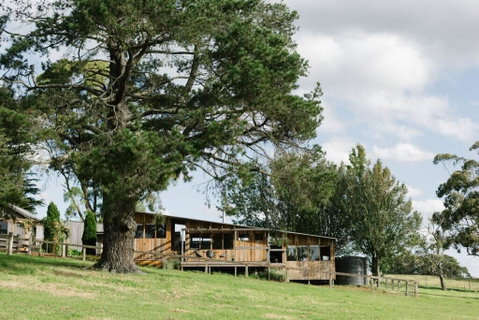 Drovers Rest At Springfield - Accommodation QLD 2