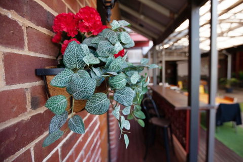 Duke's Inn - Accommodation QLD 2