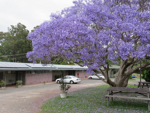 Ecotel Narooma - Accommodation QLD 3