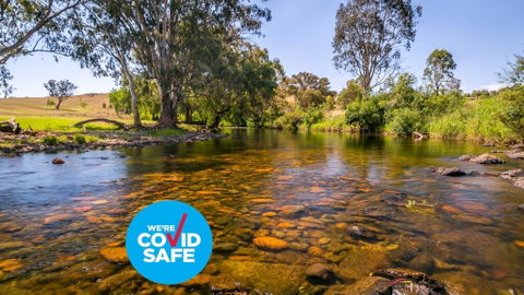 Elm Cottage - Accommodation QLD 1