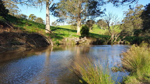 Emerald Hills Cottage - Accommodation QLD 1