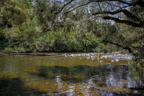 Equanimity - Beautiful Character Filled House! - Accommodation QLD 3