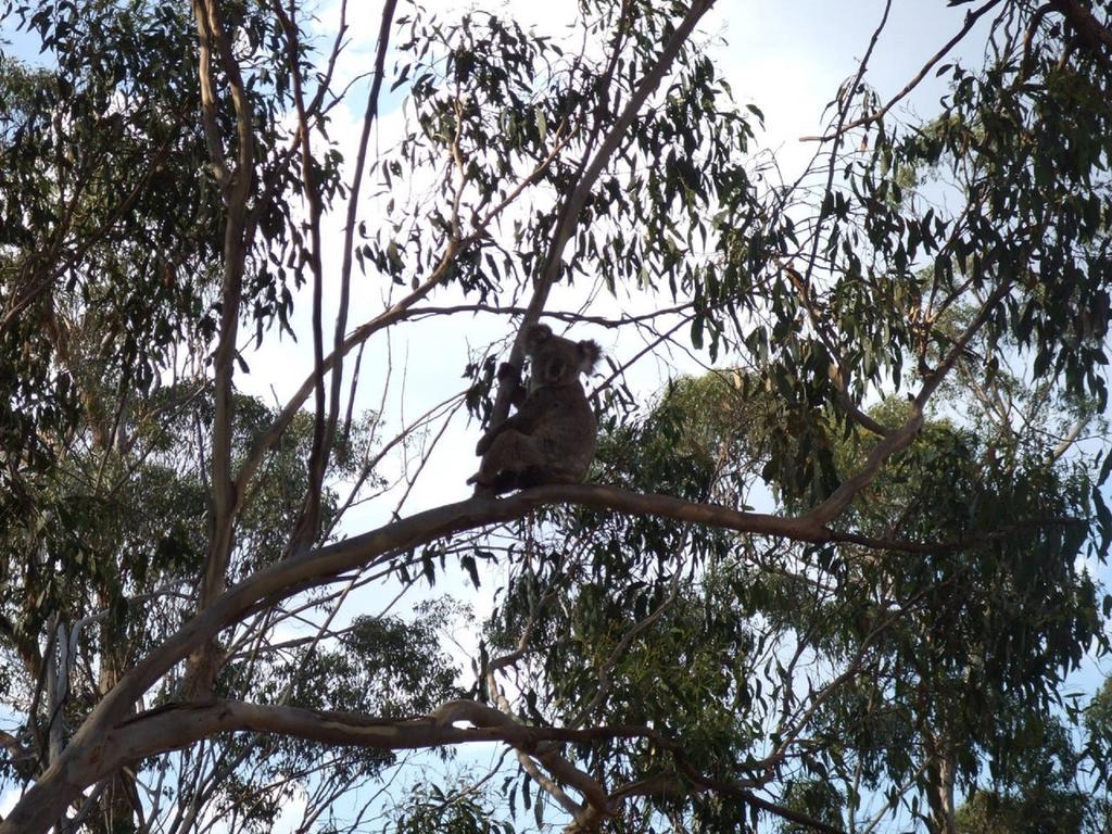 Kilbirnie QLD Accommodation QLD