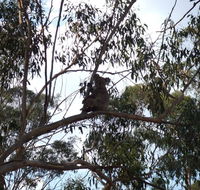 Escape to the Country - Enjoy the firepit or explore magical Bunya Mountains - Accommodation QLD