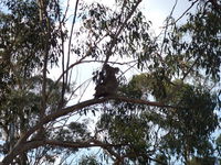 Book Haden Accommodation Vacations Accommodation QLD Accommodation QLD