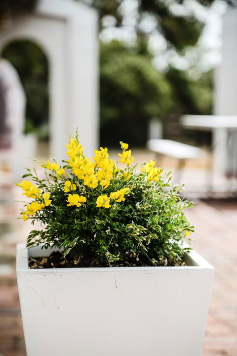 Esperance Coastal Retreat - Accommodation QLD 3