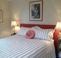 Every Man and His Dog Vineyard - Accommodation QLD