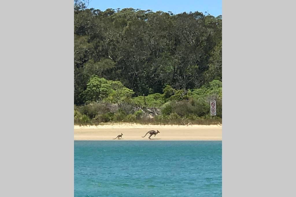 Beecroft Peninsula NSW Accommodation QLD