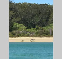 FAIRVIEW COTTAGE 25B - Waterfront accommodation - Accommodation QLD