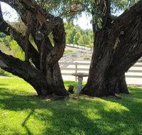 Farm Stay Studio - Accommodation QLD