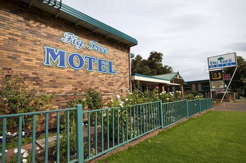 Fig Tree Motel - Accommodation QLD 2