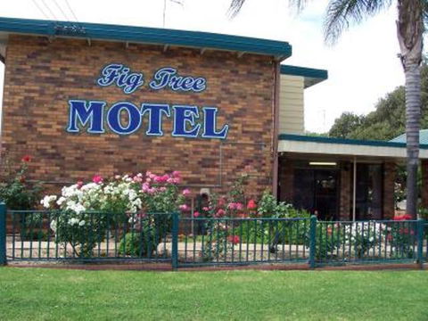 Fig Tree Motel - Accommodation QLD 1