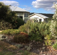 Forrest Willy Wagtail Studio - Accommodation QLD