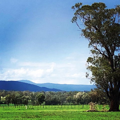 Fourjay Farmstay - Accommodation QLD 0
