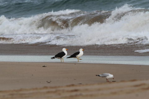 GALWAY COTTAGE - Accommodation QLD 1