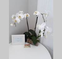 Gawler Heritage Accommodation - Accommodation QLD