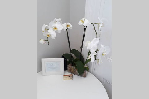 Gawler Heritage Accommodation - Accommodation QLD 0