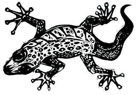 Gecko Guest House - Accommodation QLD 3