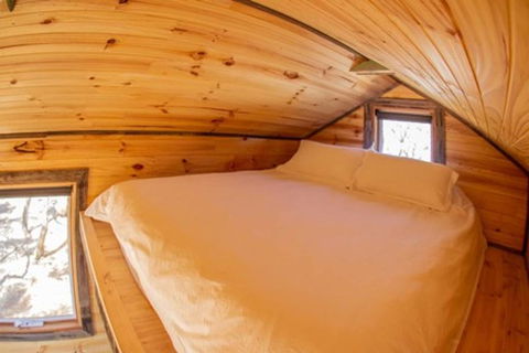 Geelong Tiny House - Accommodation QLD 2