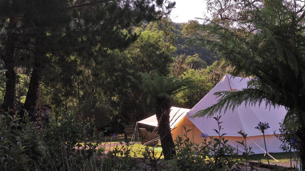 Zeehan TAS Accommodation QLD