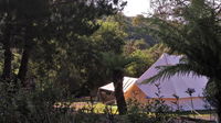 Book Zeehan Accommodation Vacations Accommodation QLD Accommodation QLD