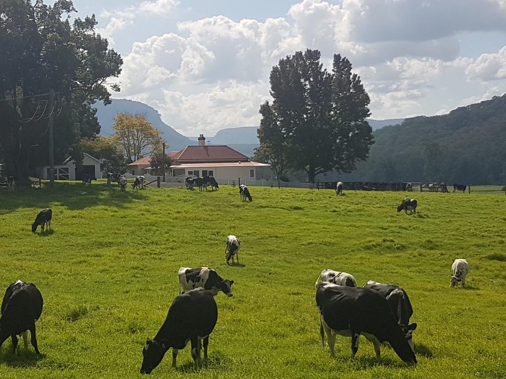 Werai NSW Accommodation QLD