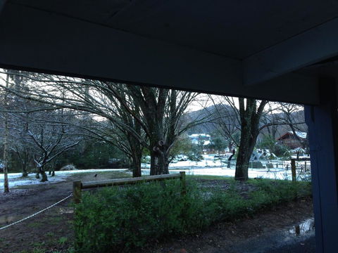 Goldberryaccommodation - Accommodation QLD 3