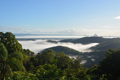 Gumnut Cottage - Accommodation QLD 1