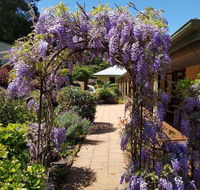 Gumtree House Montville - Accommodation QLD
