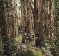 Habitat Noosa - Accommodation QLD