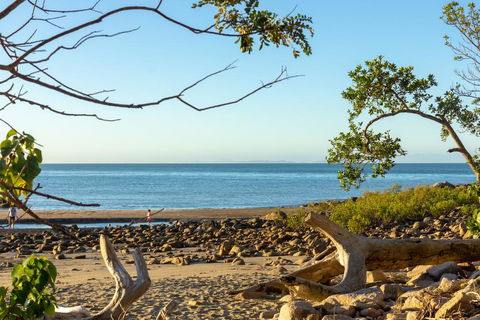 Halliday Bay Resort - Accommodation QLD 1