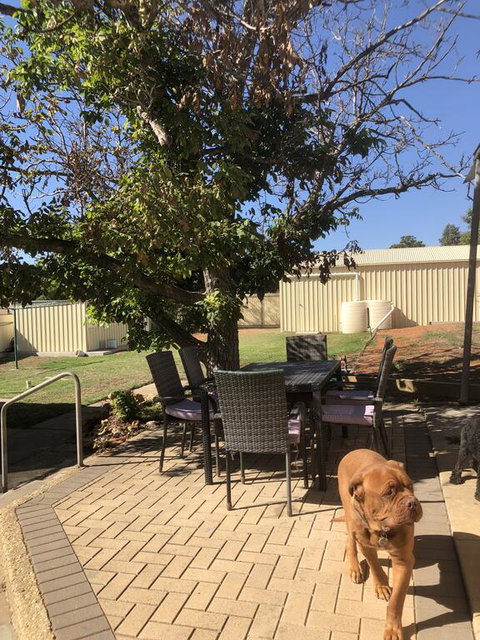 Happy Hours - Accommodation QLD 2