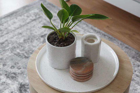 Heart Of Ormond Apartment By Ready Set Host - Accommodation QLD 1