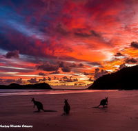 Heather's Mica Cottage - Accommodation QLD