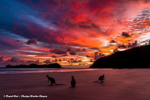 Heather's Mica Cottage - Accommodation QLD 0