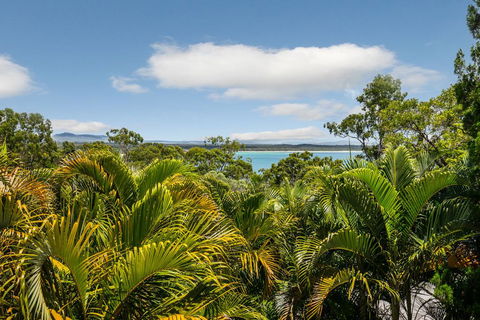 Hidden Rainforest Oasis, Little Cove - Accommodation QLD 2