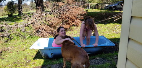 Hideaway Valley Farm - Accommodation QLD 3