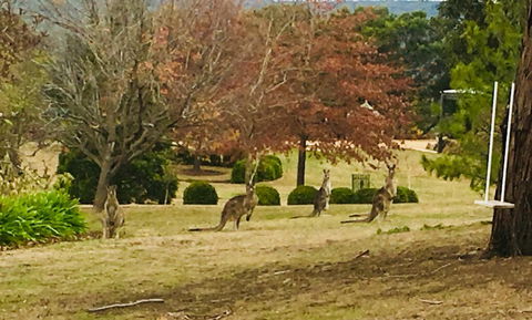 Highfield Cottage - Accommodation QLD 2
