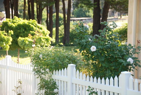 Hillside Cottage Berrima - Accommodation QLD 3