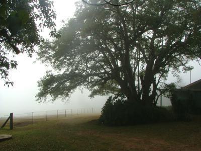 Hillview Cottages - Accommodation QLD 3