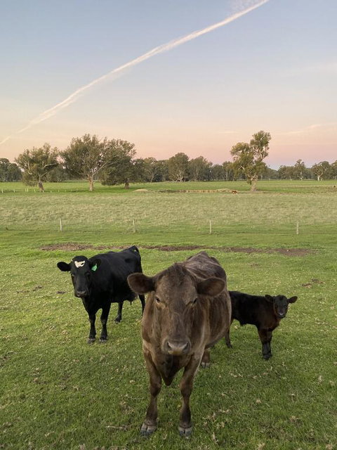 Holly House BnB - Accommodation QLD 1