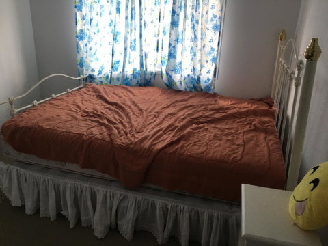 Jacobbs Well - Accommodation QLD 0
